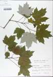 TTRS_000002975-thumbnail.jpg