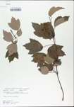 TTRS_000002979-thumbnail.jpg