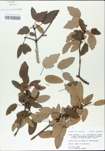 TTRS_000002980-thumbnail.jpg