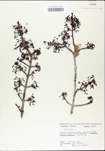 TTRS_000002986-thumbnail.jpg