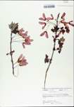 TTRS_000002987-thumbnail.jpg