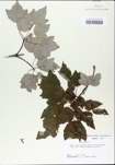TTRS_000002989-thumbnail.jpg