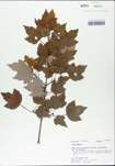 TTRS_000002990-thumbnail.jpg