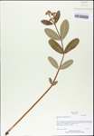 TTRS_000003038-thumbnail.jpg