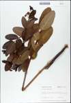 TTRS_000003039-thumbnail.jpg