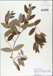 TTRS_000003040-thumbnail.jpg