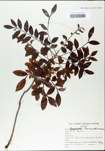 TTRS_000003067-thumbnail.jpg