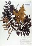 TTRS_000003068-thumbnail.jpg