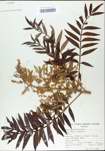 TTRS_000003069-thumbnail.jpg