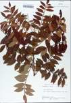 TTRS_000003071-thumbnail.jpg