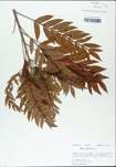 TTRS_000003077-thumbnail.jpg
