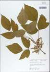 TTRS_000003080-thumbnail.jpg