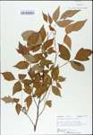TTRS_000003082-thumbnail.jpg