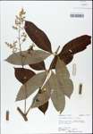 TTRS_000003092-thumbnail.jpg