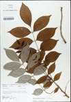 TTRS_000003093-thumbnail.jpg