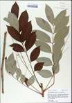 TTRS_000003094-thumbnail.jpg