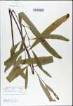 TTRS_000003098-thumbnail.jpg
