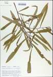 TTRS_000003100-thumbnail.jpg