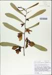 TTRS_000003101-thumbnail.jpg