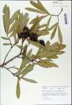 TTRS_000003104-thumbnail.jpg