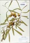 TTRS_000003105-thumbnail.jpg
