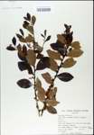TTRS_000003142-thumbnail.jpg