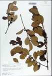 TTRS_000003143-thumbnail.jpg
