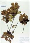 TTRS_000003144-thumbnail.jpg