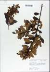 TTRS_000003146-thumbnail.jpg