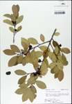 TTRS_000003147-thumbnail.jpg