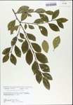 TTRS_000003148-thumbnail.jpg