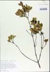 TTRS_000003149-thumbnail.jpg