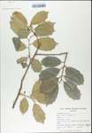 TTRS_000003179-thumbnail.jpg