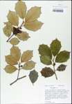 TTRS_000003181-thumbnail.jpg