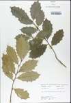 TTRS_000003182-thumbnail.jpg
