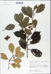 TTRS_000003183-thumbnail.jpg