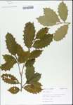 TTRS_000003184-thumbnail.jpg