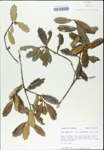 TTRS_000003186-thumbnail.jpg
