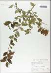 TTRS_000003190-thumbnail.jpg