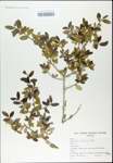 TTRS_000003191-thumbnail.jpg