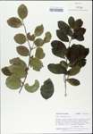 TTRS_000003192-thumbnail.jpg