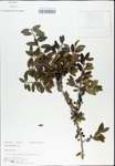 TTRS_000003194-thumbnail.jpg