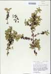 TTRS_000003195-thumbnail.jpg