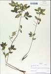 TTRS_000003197-thumbnail.jpg