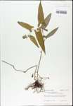 TTRS_000003200-thumbnail.jpg