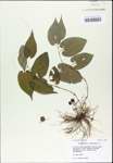 TTRS_000003201-thumbnail.jpg