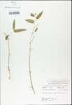 TTRS_000003203-thumbnail.jpg