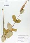 TTRS_000003212-thumbnail.jpg