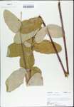 TTRS_000003213-thumbnail.jpg