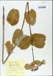 TTRS_000003214-thumbnail.jpg